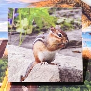 Cute Chipmunk Gorgeous Watercolor Oil Painting‎ Canvas Wall Art